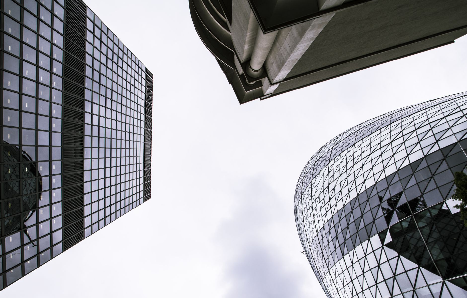 Skyward view of modern skyscrapers with reflective glass facades showcasing urban architecture.